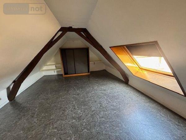 Murs commerciaux à vendre à Saint-André-lez-Lille dans le Nord (59350), ref : LC913