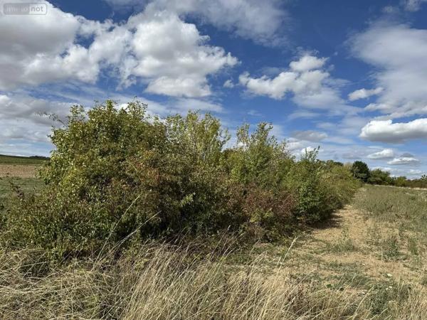 Achat - Terrain de loisirs, bois, étangs Sézanne 51120 749 m 2