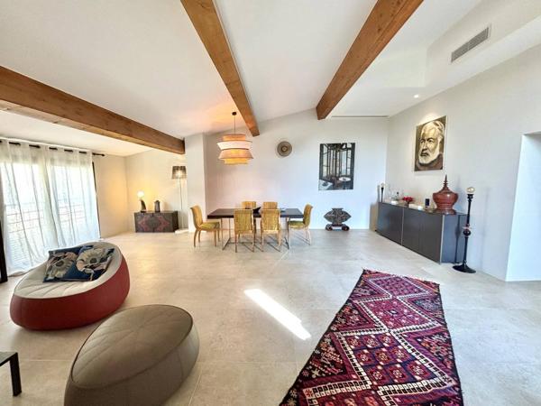 Grande Appartement en duplex- Élégante à Valbonne