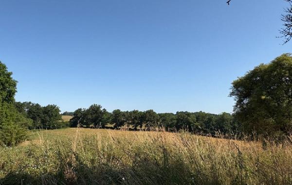 Vente Maison Saint-martin-le-vieux   