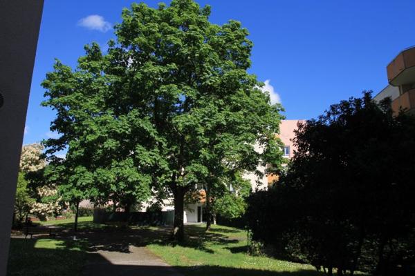 Vente / Appartement