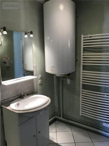 Appartement à louer à Ambutrix dans l'Ain (01500), ref : 01037-L93