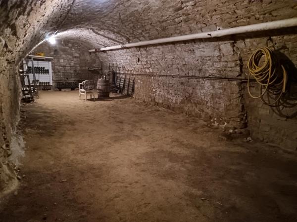 Élégante demeure au cœur d’un village viticole – 280 m² habitables sur terrain arboré de 1 090 m²