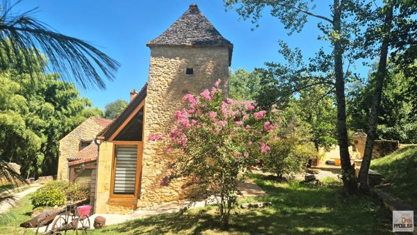 Magnifique propriété de caractère en Périgord noir dans un lieu magique à deux pas de Sarlat. avec gites modulable .
