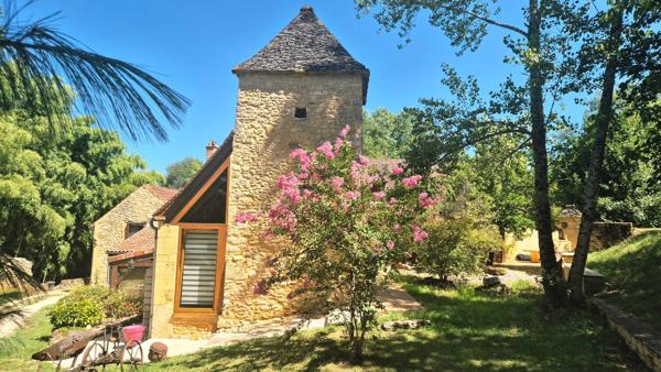 Magnifique propriété de caractère en Périgord noir dans un lieu magique à deux pas de Sarlat. avec gites modulable .