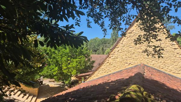 Magnifique propriété de caractère en Périgord noir dans un lieu magique à deux pas de Sarlat. avec gites modulable .