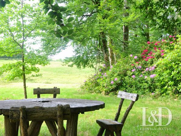 Château du 18ème TARN – Rénovation récente – Calme absolu et vue dégagée