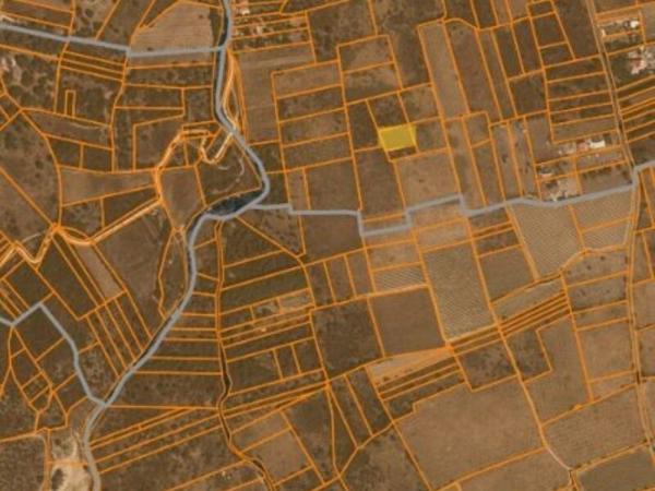 Vente / Terrain agricole