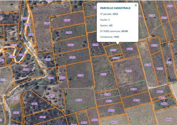 Vente / Terrain agricole