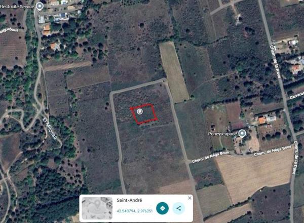 Vente / Terrain agricole