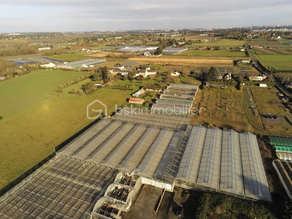 Terrain agricole – Zone Ah – 17 000 m² – Proche Angers

À seulement 5 minutes d’Angers, découvrez ce vaste terrain de plus de 17 000 m², situé en zone Ah, offrant de nombreuses possibilités d’exploitation.

La propriété comprend plusieurs serres en verre, dont une serre avec sol enrobé, idéale pour une activité de stockage, de logistique ou de production spécialisée.
Deux bâtiments annexes viennent compléter l’ensemble, avec une possibilité de mise en location, offrant ainsi un potentiel de revenu complémentaire.
Un quai de déchargement est également présent, facilitant l’accès et les opérations de manutention.

Atouts principaux :
Surface totale supérieure à 17 000 m²
Zone Ah
Plusieurs serres en verre
1 serre avec sol enrobé (stockage possible)
2 bâtiments annexes avec potentiel locatif
Quai de déchargement

Emplacement stratégique à 5 min d’Angers
Bien rare sur le secteur, idéal pour activité agricole, horticole, professionnelle ou de stockage.

N'hésitez pas à me contacter pour plus d'informations