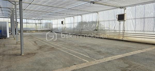 Terrain agricole – Zone Ah – 17 000 m² – Proche Angers

À seulement 5 minutes d’Angers, découvrez ce vaste terrain de plus de 17 000 m², situé en zone Ah, offrant de nombreuses possibilités d’exploitation.

La propriété comprend plusieurs serres en verre, dont une serre avec sol enrobé, idéale pour une activité de stockage, de logistique ou de production spécialisée.
Deux bâtiments annexes viennent compléter l’ensemble, avec une possibilité de mise en location, offrant ainsi un potentiel de revenu complémentaire.
Un quai de déchargement est également présent, facilitant l’accès et les opérations de manutention.

Atouts principaux :
Surface totale supérieure à 17 000 m²
Zone Ah
Plusieurs serres en verre
1 serre avec sol enrobé (stockage possible)
2 bâtiments annexes avec potentiel locatif
Quai de déchargement

Emplacement stratégique à 5 min d’Angers
Bien rare sur le secteur, idéal pour activité agricole, horticole, professionnelle ou de stockage.

N'hésitez pas à me contacter pour plus d'informations