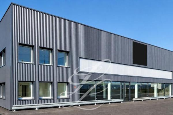Location - LOCAL D'ACTIVITE 1595 m 2