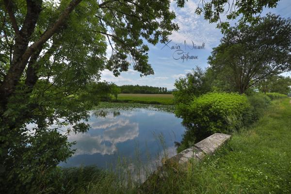 Maison à vendre 5 pièces proche de MACON (71)