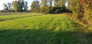 Terrain de loisirs - Bois - Etang à vendre à Amagne dans les Ardennes (08300), ref : 10315/308