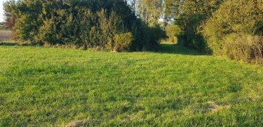 Terrain de loisirs - Bois - Etang à vendre à Amagne dans les Ardennes (08300), ref : 10315/308