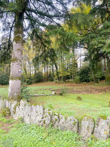 Maison à renover au coeur de la foret du Sidobre