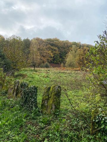 Maison à renover au coeur de la foret du Sidobre