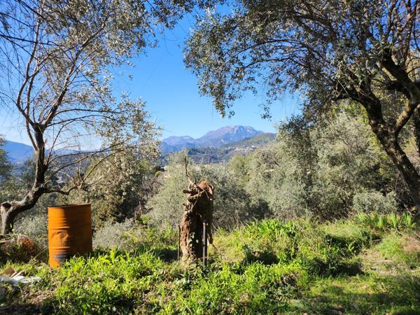 Saint-Blaise (06670) SAINT BLAISE : TERRAIN EN POSITION DOMINANTE OFFRANT UNE SUPERBE VUE SUR LES MONTAGNES, EXPOSE OUEST