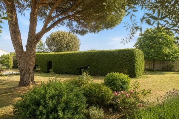 Île de Ré - Loix - Maison avec belle parcelle arborée
