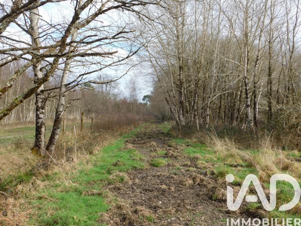 Maison à vendre 3 pièces 84 m² La Ferté-Imbault
