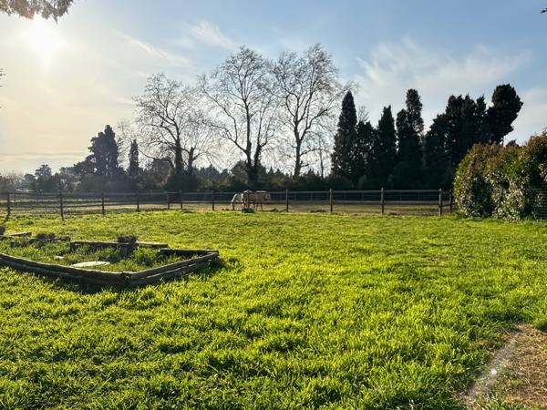 Châteaurenard (13160) Mas 119 m2 sur 4680 m2 de terrain