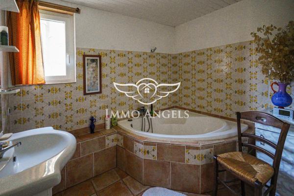 Mas ancien avec dépendances