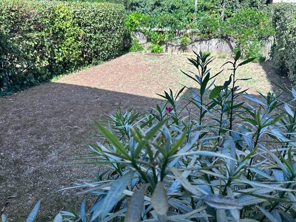 Appartement Rez de Jardin Saint Georges De Didonne 1 pièce(s) 35.75 m2