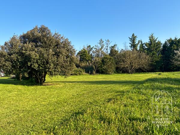 Châteaurenard (13160) Mas provençal bourgeois 232 m2 avec piscine sur 5600 m2