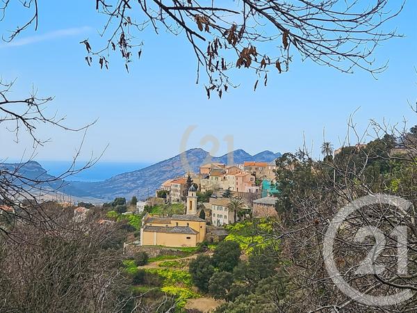 Maison à vendre  3 pièces - 38,94 m2 OLETTA - 202