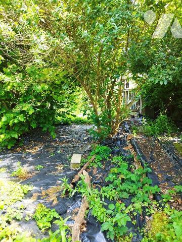 A VENDRE. Maison. BUAIS LES MONTS. Sud Manche. Basse Normandie.
Maison de bourg de 4 pièces pr...