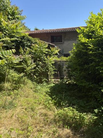 Vente / Maison à Chasse-sur-Rhône (38670)
