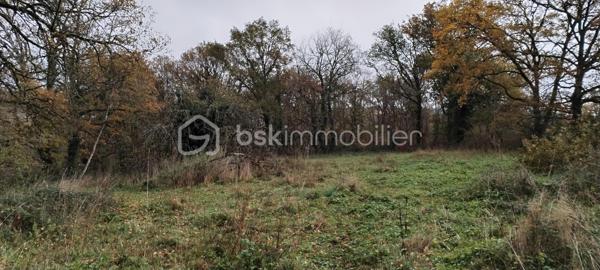 Terrain de loisirs de 2 551 m²
