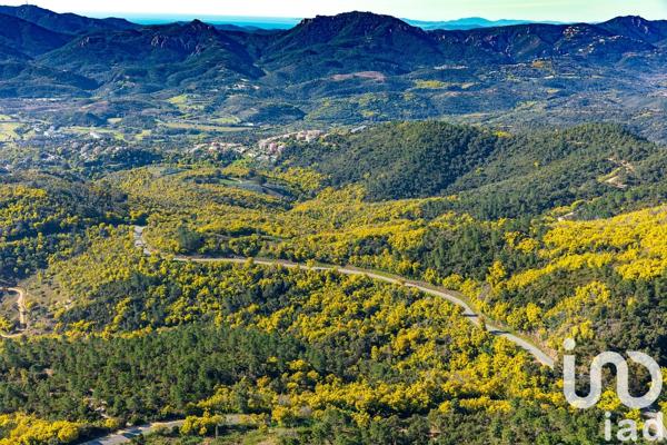 Appartement à vendre 3 pièces 73 m² Mandelieu-la-Napoule