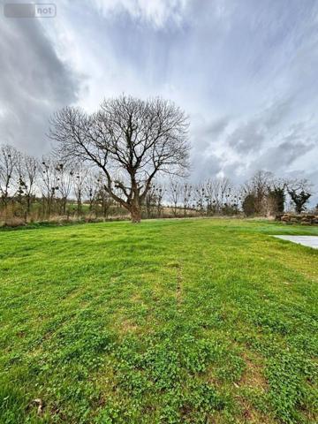 Maison à louer à Saint-Sauveur-des-Landes en Ille-et-Vilaine (35133), ref : 1355