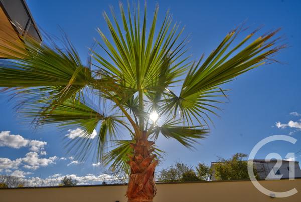 Maison à vendre  7 pièces - 183 m2 ROMANS SUR ISERE - 26