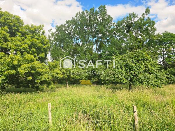 Propriété avec hectares et dépendances