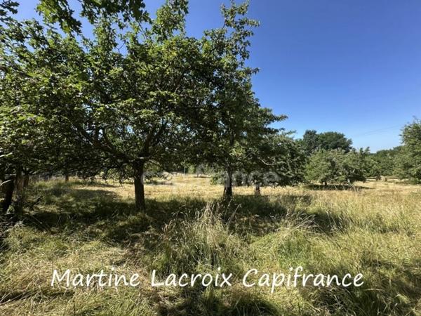 Dpt SARTHE (72), à vendre proche de LA FERTE BERNARD - PROPRIÉTÉ  ET DÉPENDANCES - PRAIRIES de 11 HECTARES