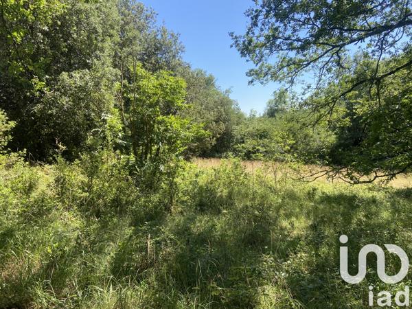 Terrain à vendre 14 676 m² Castelnaud-la-Chapelle