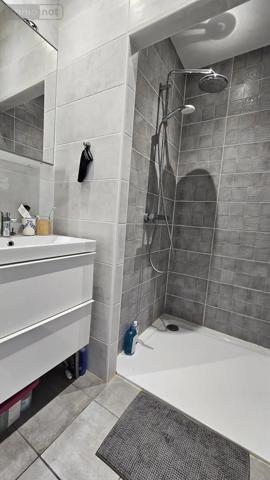 Achat - Maison Vendôme 41100 5 pièces 163 m 2 1407 m 2