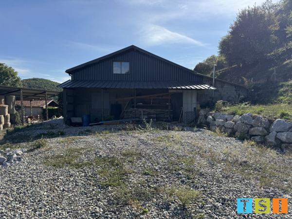 Secteur Sauveterre de Comminges : Hangar professionnel; 1 hectare et demi de terres et bois.