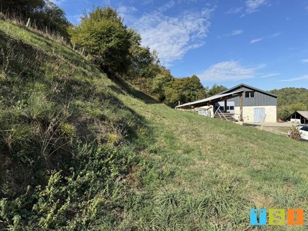 Secteur Sauveterre de Comminges : Hangar professionnel; 1 hectare et demi de terres et bois.