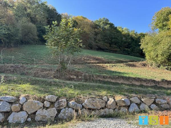 Secteur Sauveterre de Comminges : Hangar professionnel; 1 hectare et demi de terres et bois.