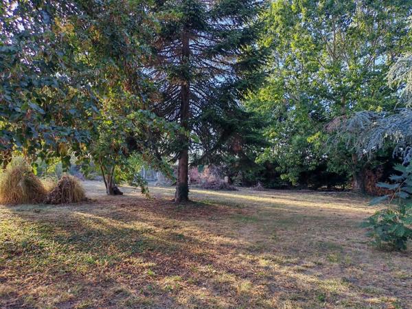 Montauban maison T4 sur secteur St Hilaire au calme absolu!. - Montauban (82000)