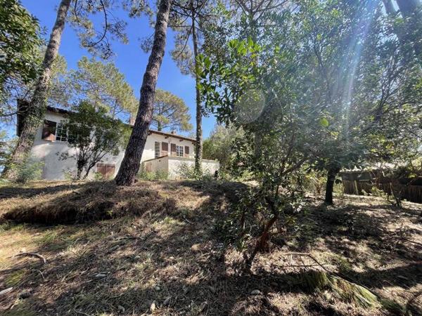 Maison à vendre |  Lège-Cap-Ferret |  6 pièces | 121 m²