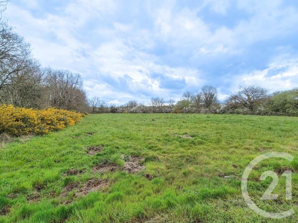 Terrain à vendre  3321 m2 OLONNE SUR MER - 85