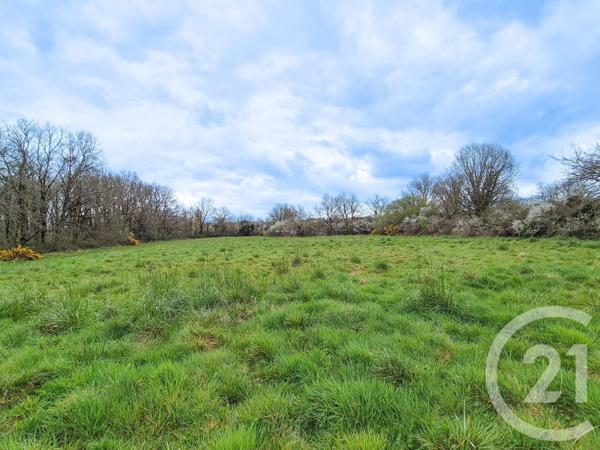 Terrain à vendre  3321 m2 OLONNE SUR MER - 85