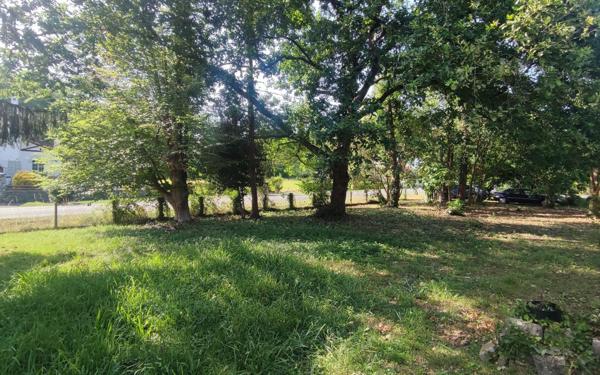 Maison à vendre    6 pièces •  Peyrehorade