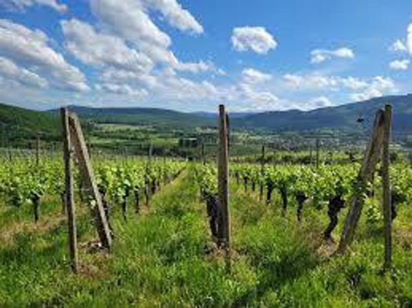 Terrain à vendre 135 000 € Saint-Aignan 128620 m² DPE