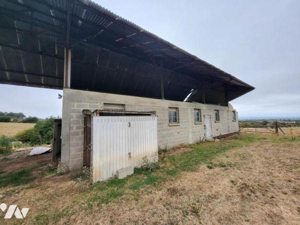 SAINT MARTIN DES BESACES : Maison + bâtiment